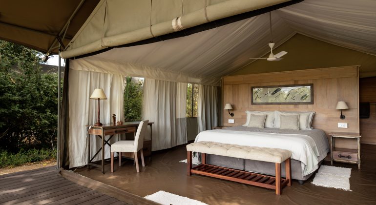 Ingwe Camp Tent