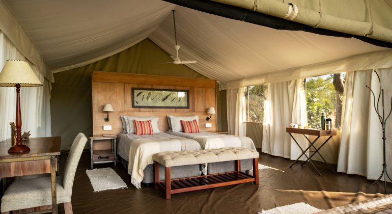 Ingwe Pan Tent