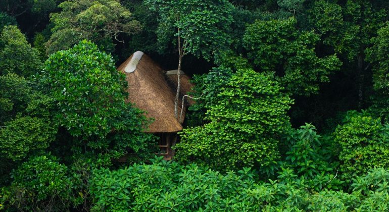 Koroi Forest Camp Main