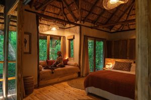 Koroi Forest Camp Room
