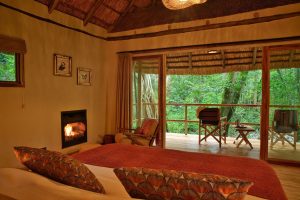 Koroi Forest Camp View From Room