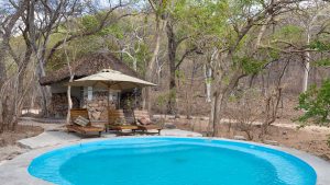 Chimwala Bush Camp Pool