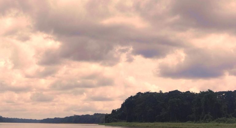 Congo Basin