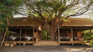 Liuwa Camp Dining
