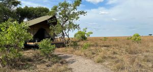 Liuwa Camp Tent
