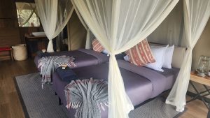 Liuwa Camp Tent Interior