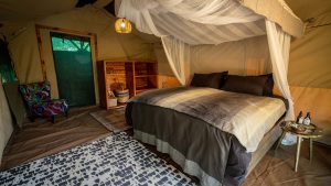 Shoebill Island Camp Tent Interior