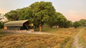 Shoebill Island Camp Tents
