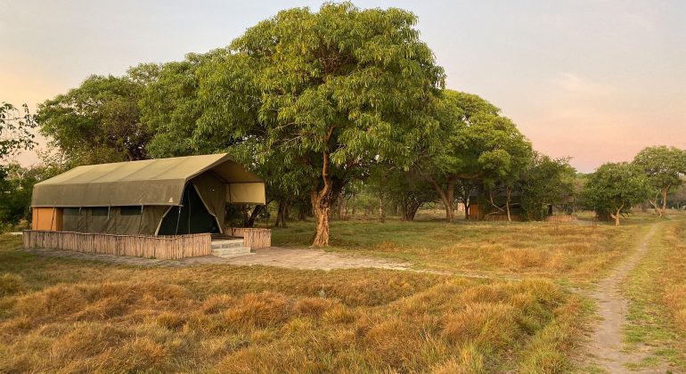 Shoebill Island Camp Tents