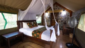 Thawale Lodge Rooms