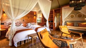 Sayari Retreats Rooms