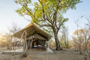 Zingweni Vlei Tent