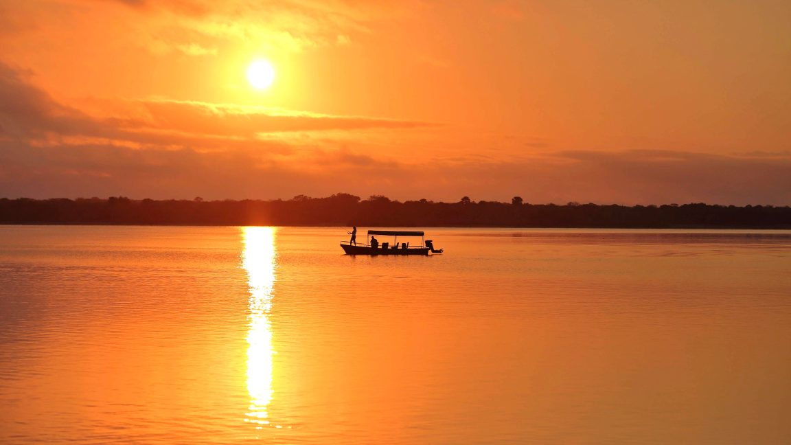 Fishing Safari