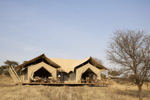 Laba Explorer Out Of Africa Family Tent