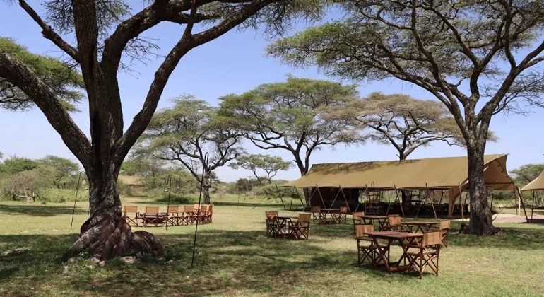 Laba Migration Camp Outdoors