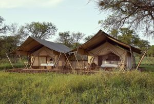 Laba Migration Camp Tents