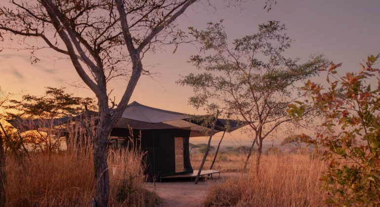 Usangu Expedition Camp