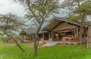 Kandili Camp Family Tents