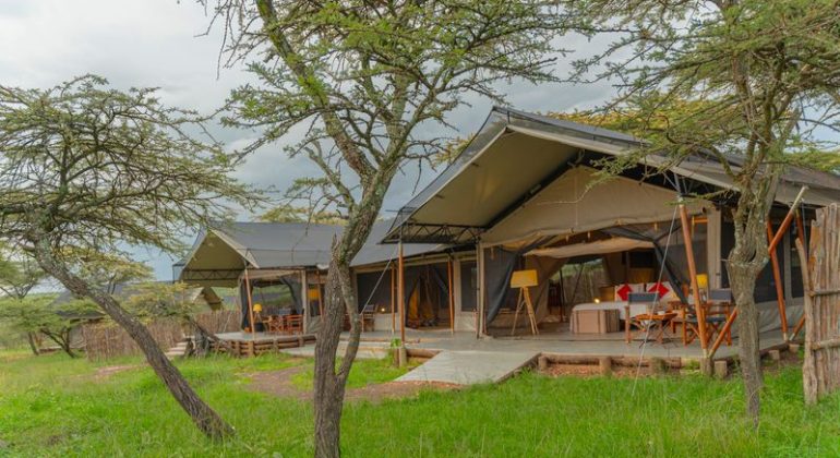 Kandili Camp Family Tents