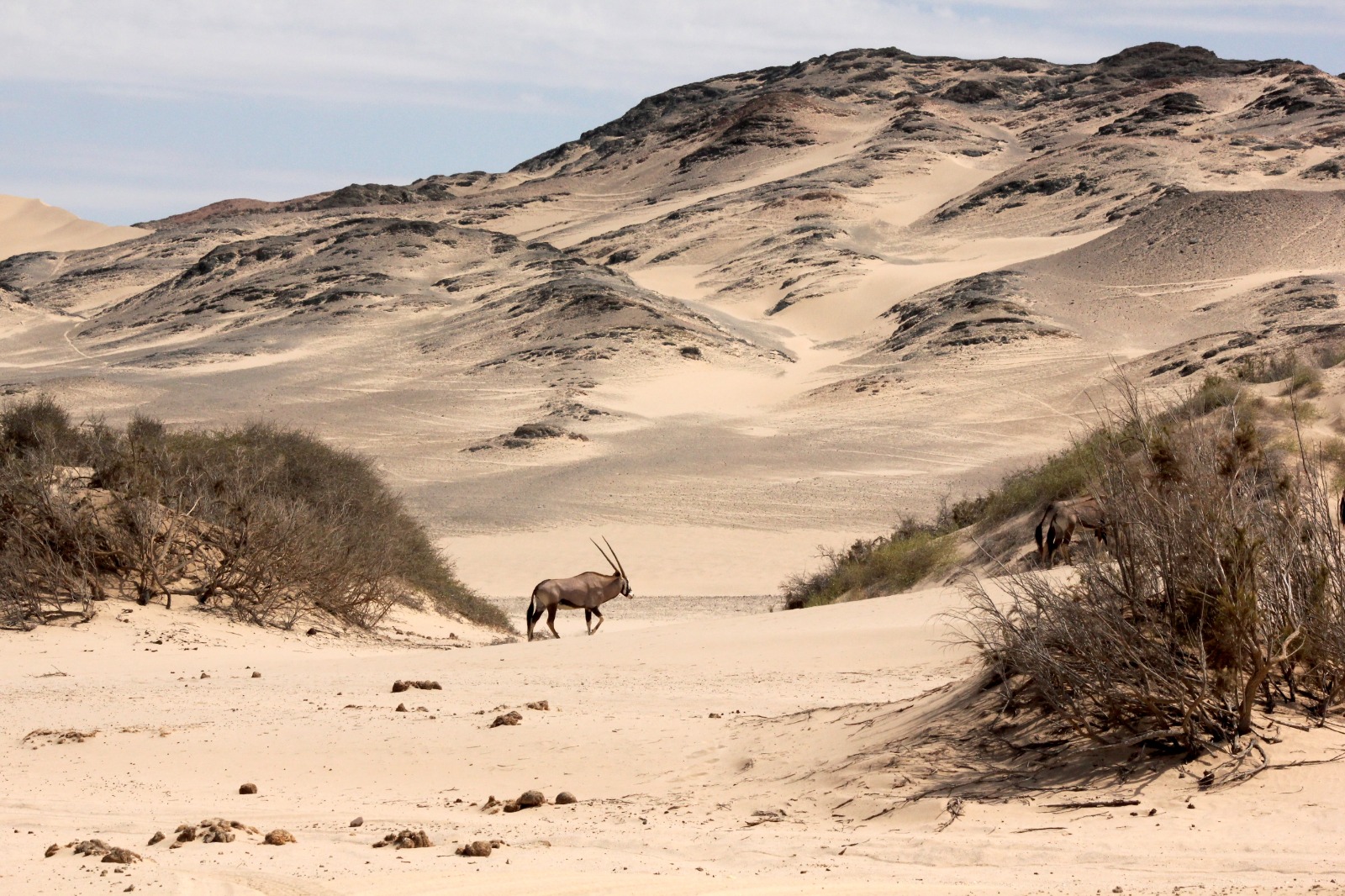 Namibia Coast Shipwreck Lodge