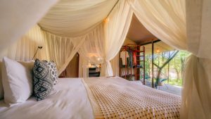Emboo Camp Tent