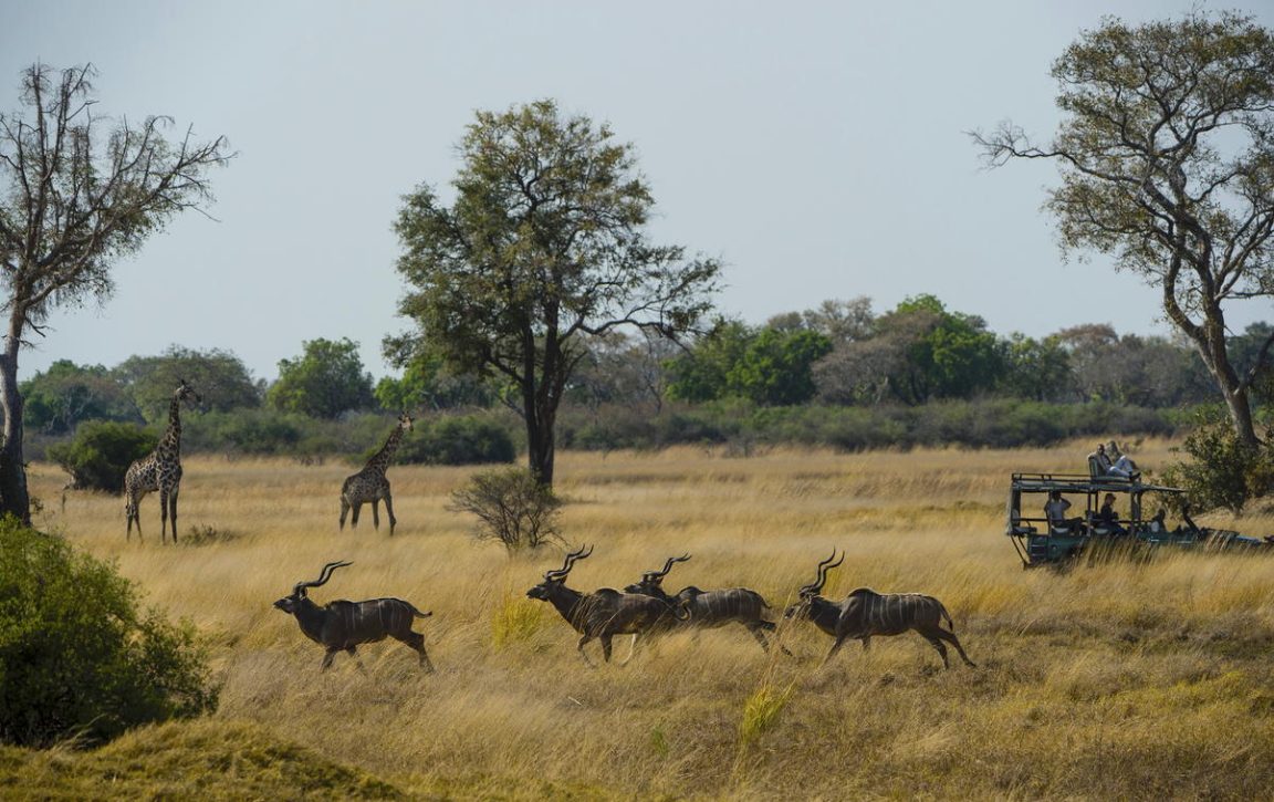 Game Drive