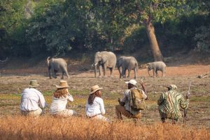 4 D/3N Bush Camping – South Luangwa National Park in Zambia – June – October