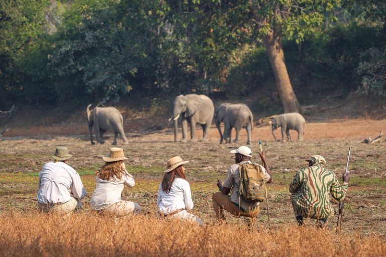 Luangwa Bush Camping