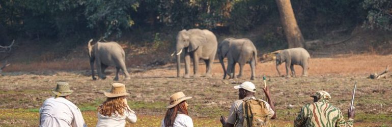 Luangwa Bush Camping
