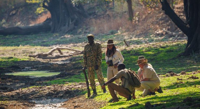 Luangwa Bush Camping Walks