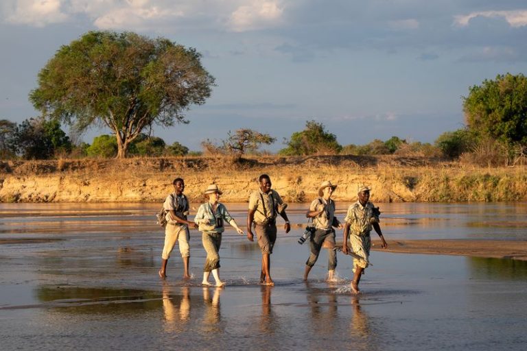 Mobile Walking Safari
