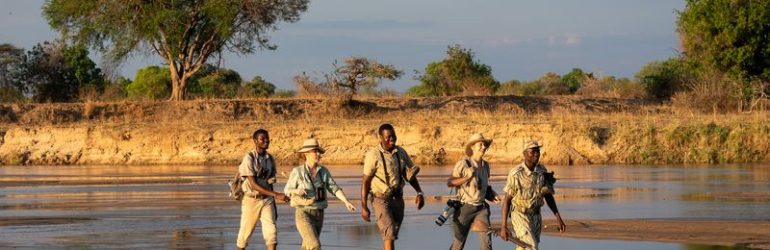 Mobile Walking Safari