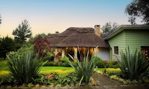 Amakoro Songa Lodge View
