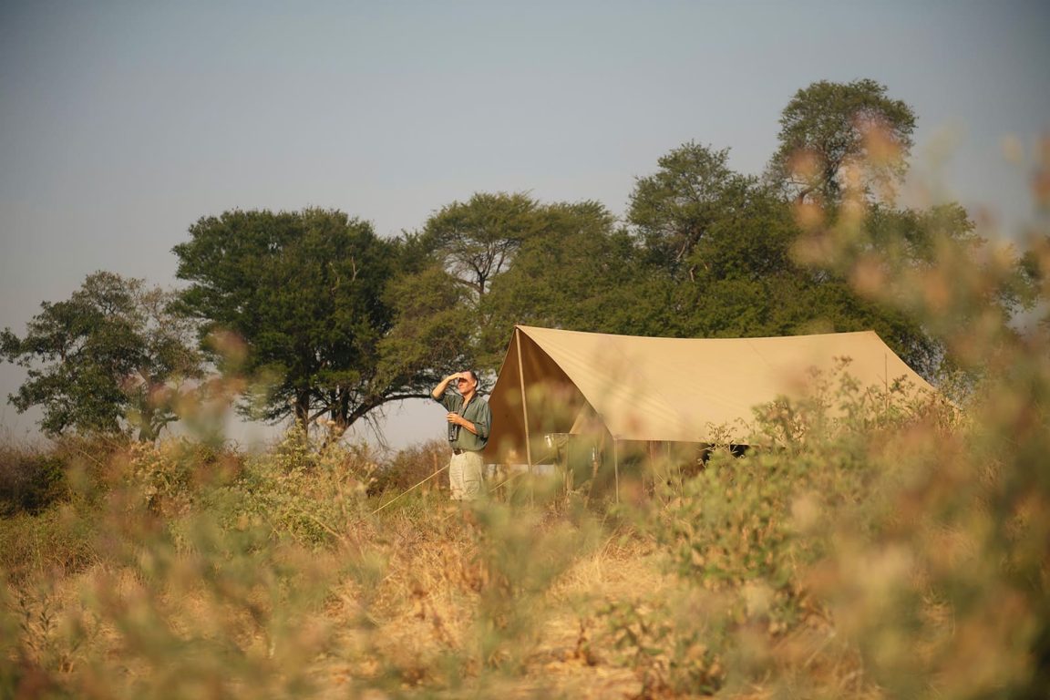 Charlie, Ruaha Tent View