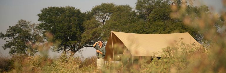 Charlie, Ruaha Tent View