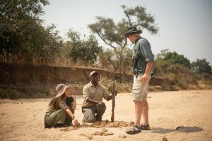 Charlie, Ruaha Walking
