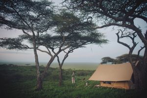 Charlie, Sanjan Tent