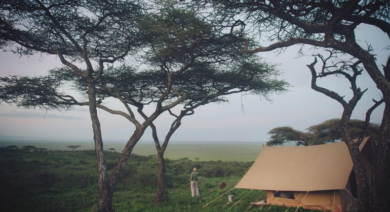 Charlie, Sanjan Tent