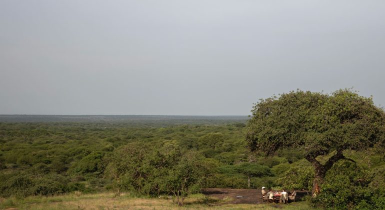 Charlie, Southwest Serengeti Bush Dining