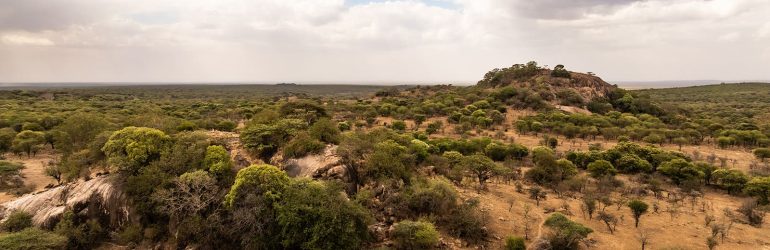 Charlie, Southwest Serengeti Landscape