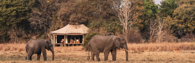 Fly In Kafue Actvities