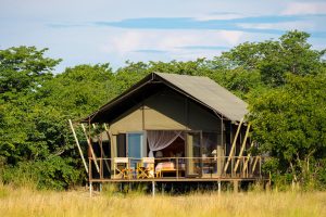 Muddy Teak Tent Exterior