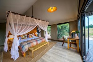 Muddy Teak Tent Interior
