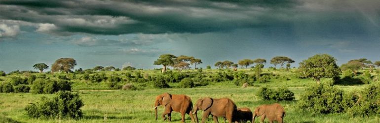 Classic Tanzania