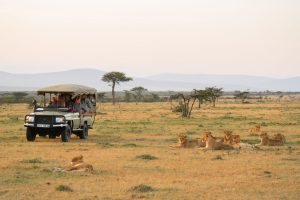 11 Days Signature Safari Collection – Kenya & Tanzania