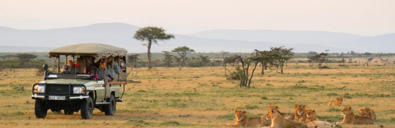 Morning Game Drive
