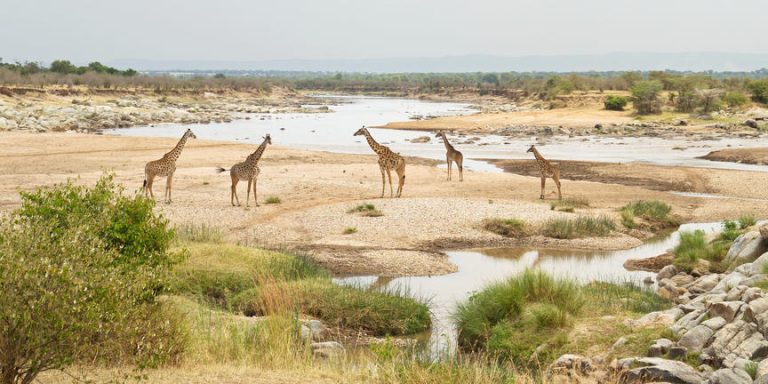 Northern Serengeti