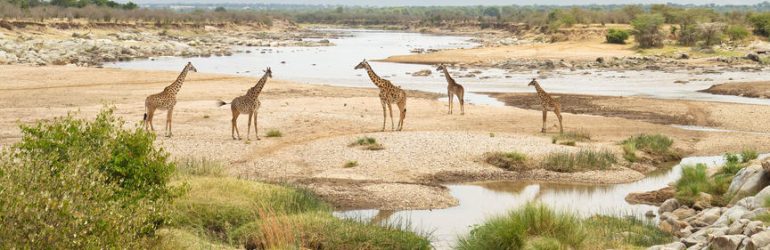 Northern Serengeti