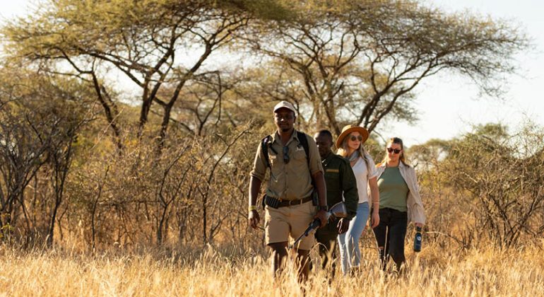 Walking Safari