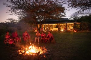 Basecamp Wilderness Campfire